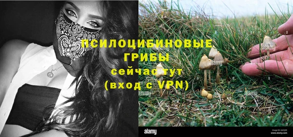 MDMA Premium VHQ Каменногорск
