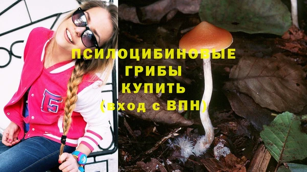 MDMA Premium VHQ Каменногорск