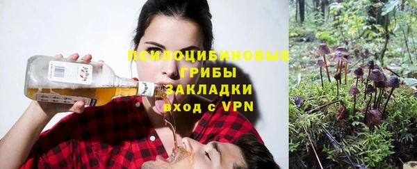 MDMA Premium VHQ Каменногорск